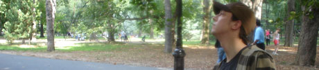 DSC02394.jpg