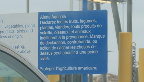 alerte.jpg