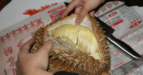 durian2