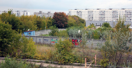 IMG_5456